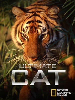 cover image of Ultimate Cat